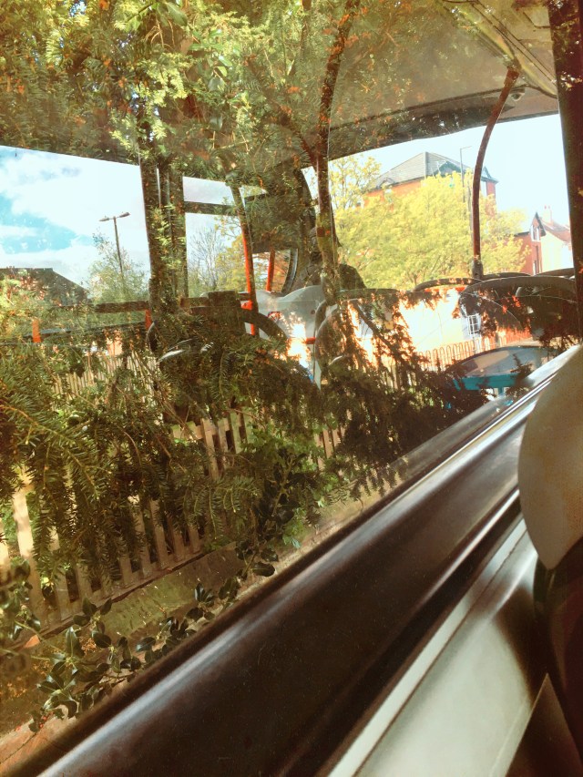 1B930F13-A5A9-4729-A8DB-589DE9B9E0F8